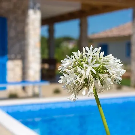 Villa Milohnici Florian * Milohnići