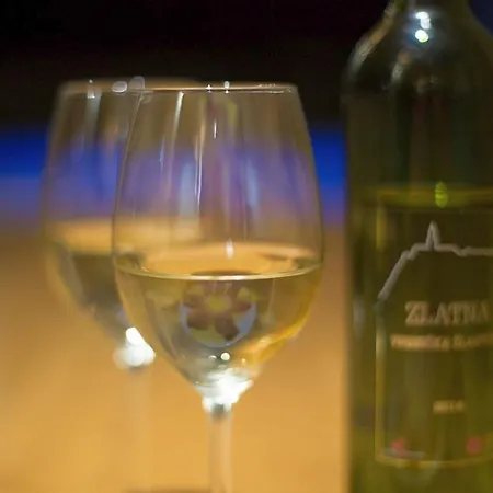 Villa Milohnici Florian *