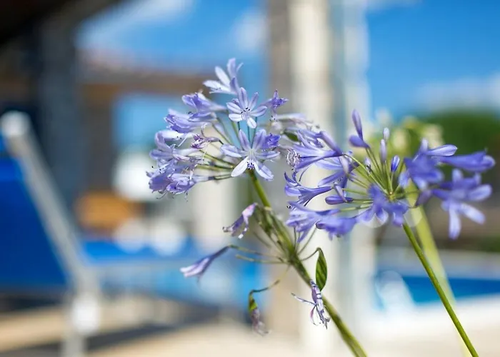 Villa Milohnici Florian